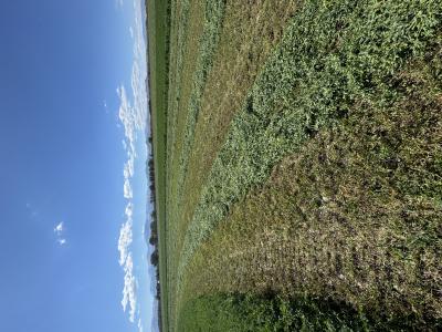 19993 County Road 59, Moffat, Colorado 81143, HOA KỲ