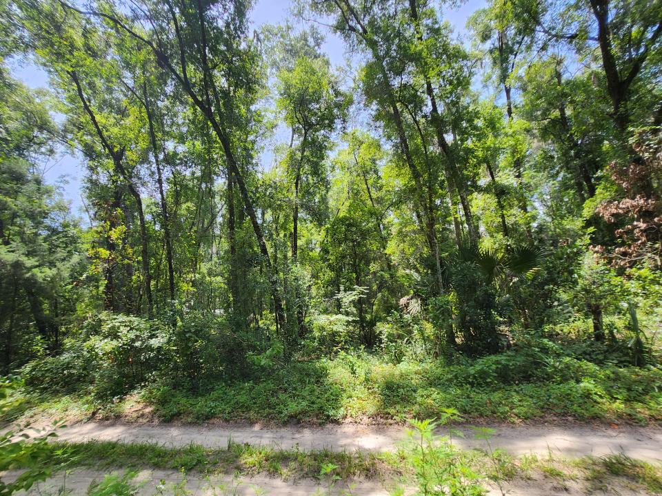 3200 NE 167 St, Citra, Florida 32113