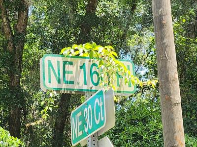 3200 NE 167 St, Citra, Florida 32113