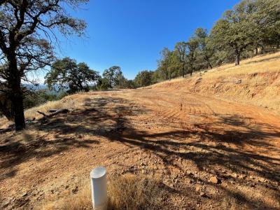 7607 S White Oak Lane, Browns Valley, California 95918, USA