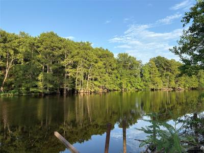 190 Horseshoe Bridge Road, Doyline, Louisiana 71023, USA