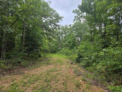 Tbd County Road 481w, Cross Timbers, Missouri 65634, Estados Unidos