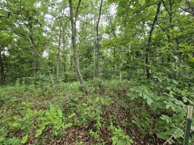 Tbd County Road 481w, Cross Timbers, Missouri 65634, Estados Unidos