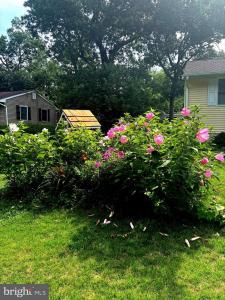 1349 HEIGHTS PLACE, VINELAND, New Jersey 08360, HOA KỲ