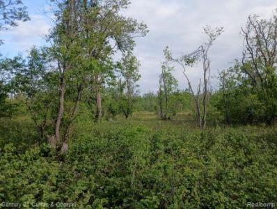 0000 Finnegan Rd,, Chester Township, Michigan 49751, USA