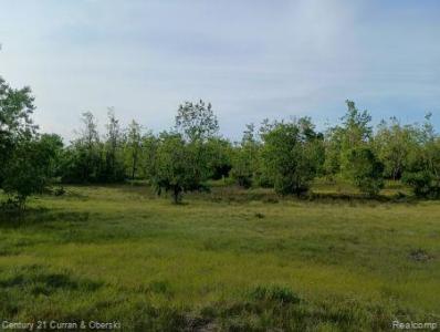 0000 Finnegan Rd,, Chester Township, Michigan 49751