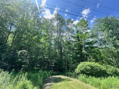 8546 Seneca Way, Caneadea, 뉴욕 14717, 미국