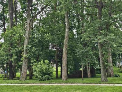 2411 W Memorial Drive, Janesville, Wisconsin 53548, États-Unis