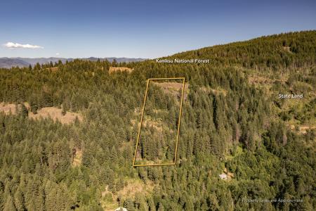 Lot 4 Windham Road, Sagle, 愛達荷州 83860, 美國