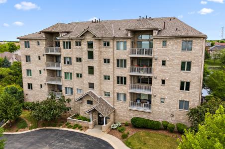 11110 Waters Edge Drive , 2A, Orland Park, Illinois 60467, Estados Unidos