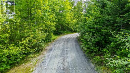 928 LAKE ST PETER ROAD, Hastings Highlands (mcclure Ward), Ontario K0L 2K0, Canadá
