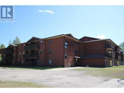 195 CHAMBERLAIN CRESCENT, Tumbler Ridge, Британская Колумбия V0C 2W0, Канада