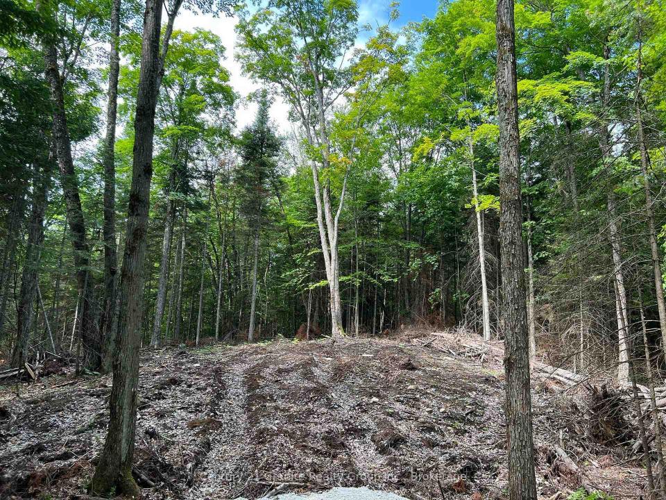 LOT 26 WEST COURT, Dysart Et Al, Ontario K0M 1S0, Canadá