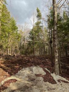 LOT 27 BUSHWOLF LAKE ROAD, Dysart Et Al, 安大略省 K0M 1S0, 加拿大