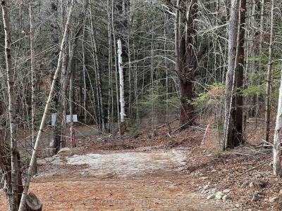 LOT 27 BUSHWOLF LAKE ROAD, Dysart Et Al, 온타리오주 K0M 1S0, 캐나다