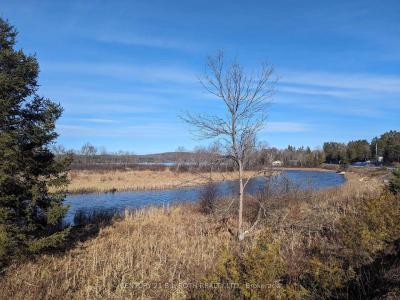 11146 ON-118 HIGHWAY N/A, Algonquin Highlands, 安大略省 K0M 1J1, 加拿大