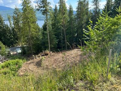 LOT 68 CASTLE HEIGHTS, Anglemont, Britisch-Kolumbien V0E 1M8, Kanada