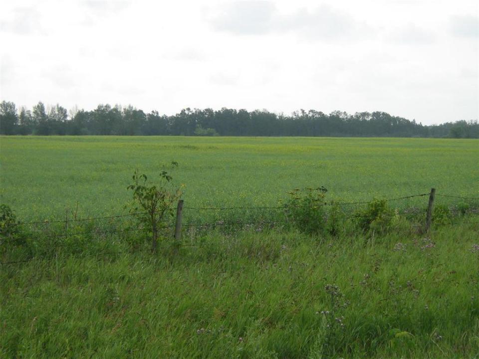 219 GOVERNMENT ROAD, Swan River, Manitoba R0L 1P0, CANADÁ