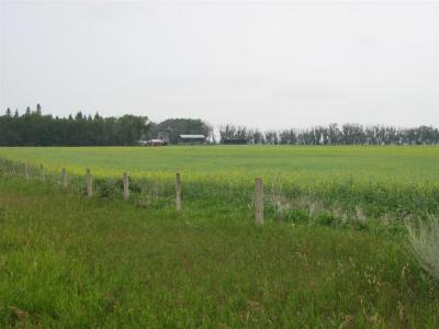 219 GOVERNMENT ROAD, Swan River, Manitoba R0L 1P0, CANADÁ