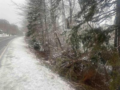 LOT 9 HIGHWAY 357, Musquodoboit Harbour, ノバスコシア B0J 2L0, カナダ