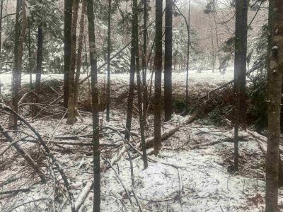 LOT 9 HIGHWAY 357, Musquodoboit Harbour, ノバスコシア B0J 2L0, カナダ