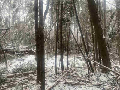 LOT 9 HIGHWAY 357, Musquodoboit Harbour, ノバスコシア B0J 2L0, カナダ