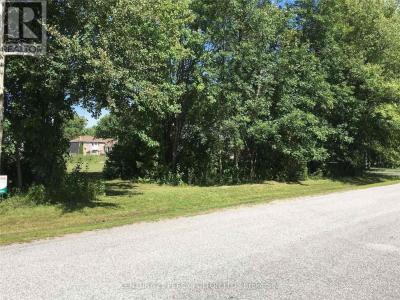 81 BAYSHORE DRIVE, Ramara (brechin), Ontario L0K 1B0, Canada