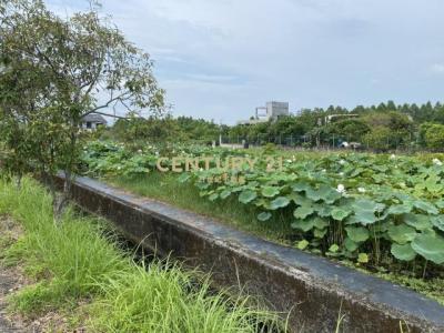 鼻仔頭段, Yuanshan Township, Yilan City 264, Taiwan