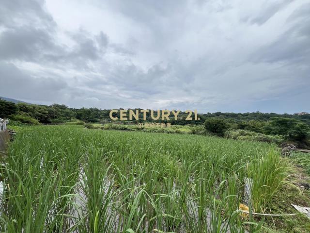大屯段, Sanzhi Dist., نيو تايبيه 252, تايوان