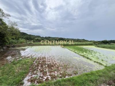 大屯段, Sanzhi Dist., نيو تايبيه 252, تايوان