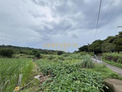 大屯段, Sanzhi Dist., نيو تايبيه 252, تايوان