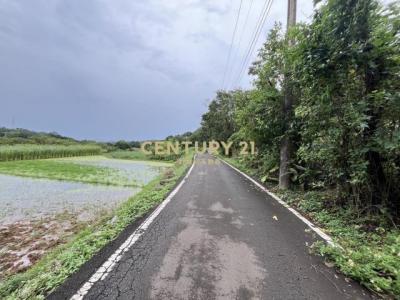 大屯段, Sanzhi Dist., نيو تايبيه 252, تايوان