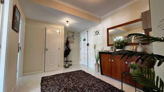 ヴィアナ・ド・カステロ, ヴィアナ・ド・カステロ 4900-441, ポルトガル