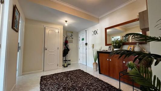 ヴィアナ・ド・カステロ, ヴィアナ・ド・カステロ 4900-441, ポルトガル