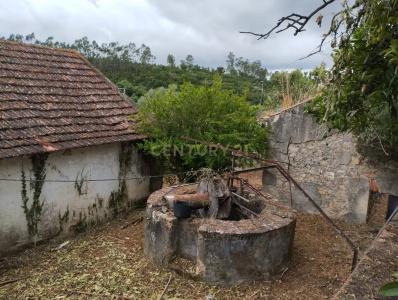 산타렘, 산타렘 2005, 포르투갈