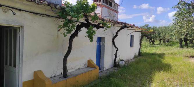 Elvas, Portalegre 7350-123, Portugal