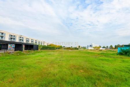 Castelló/Castellón, Comunitat Valenciana 12591, Spain