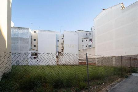 Alacant/Alicante, Comunitat Valenciana 03700, Spanien