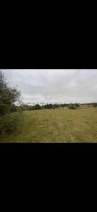 Ruta 39 , Aiguá, Maldonado 15200, Uruguai