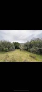 Ruta 39 , Aiguá, Maldonado 15200, Uruguai