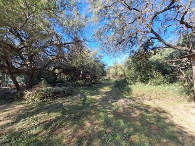 Loma Plata, Boquerón 00001, Paraguay