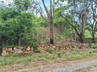 Agua Termal Fracc. Agua Escondida Lote 69,, Ixtlahuacan De Los Membrillos, Jalisco 45850, Mexique
