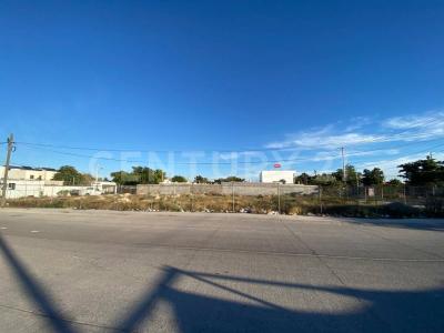 Ahome, Sinaloa 81233, Meksyk