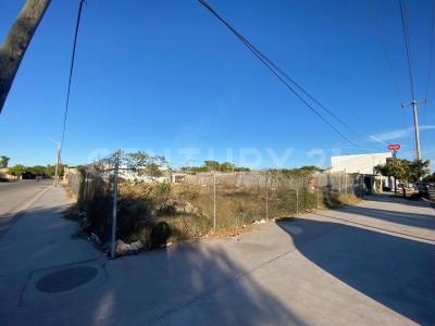 Ahome, Sinaloa 81233, Mexico