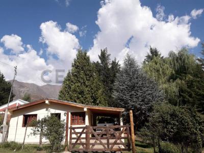 LOS TULIPANES S/N, Potrerillos, Mendoza 00001, Argentine