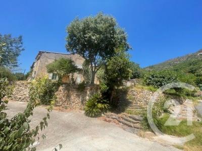 Ste Maxime, Provence-Alpes-Côte D'Azur 83120, France