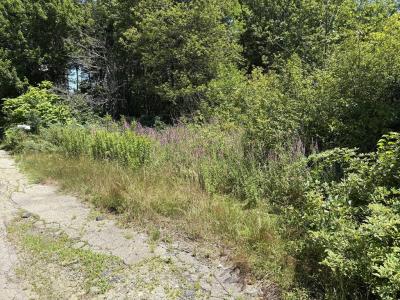 360 Plymouth St, Holbrook, Massachusetts 02343