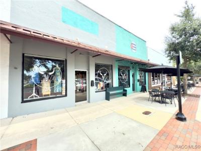 105 Courthouse Square, Inverness, Floride 34450, États-Unis