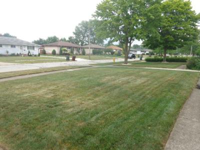 9207 Harrow Dr., Parma, Ohio 44129