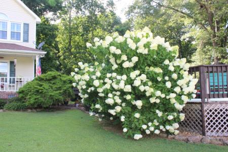 170 Hillwood Dr., Estill Springs, テネシー 37330, アメリカ合衆国